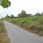 ที่ดินเปล่า 65 ตรว.กว้าง 12 ม. ลึก 21 ม.ใกล้แหล่งชุมชน  ถนนเชื่อมสัมพันธ์